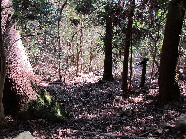t05_101.jpg