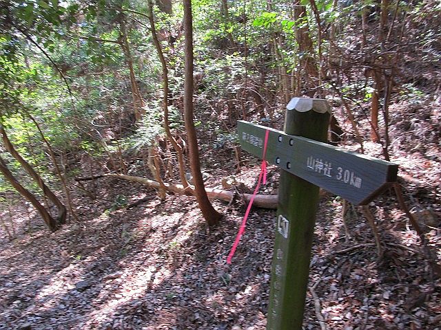 t05_102.jpg