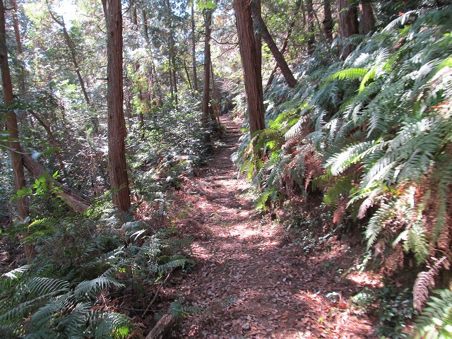 t05_103.jpg