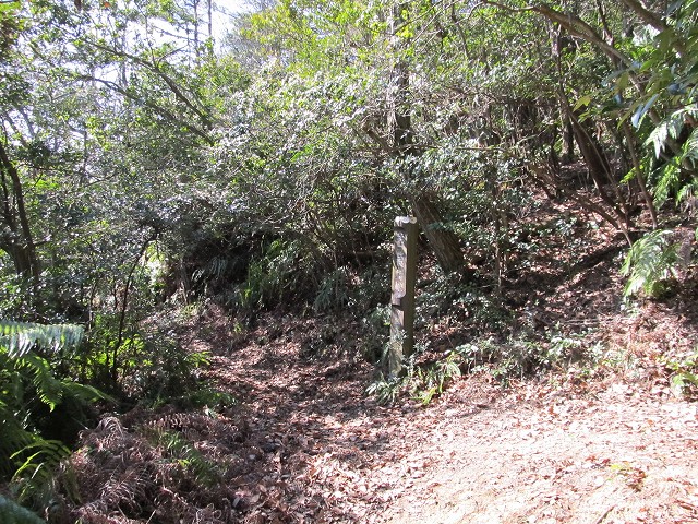 t05_104.jpg