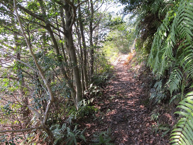 t05_105.jpg