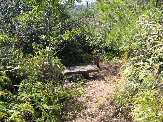 t05_107.jpg