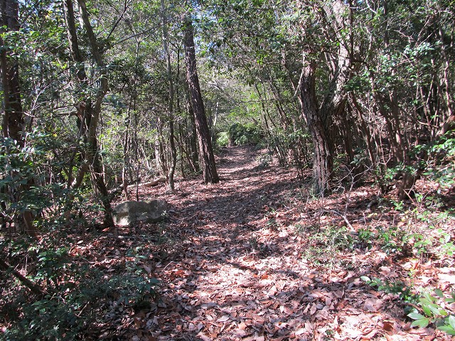 t05_109.jpg