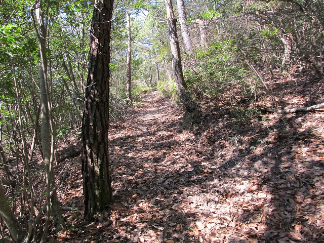 t05_110.jpg