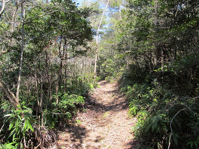 t05_111.jpg