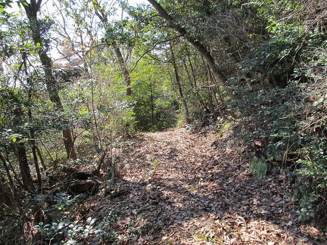 t05_114.jpg