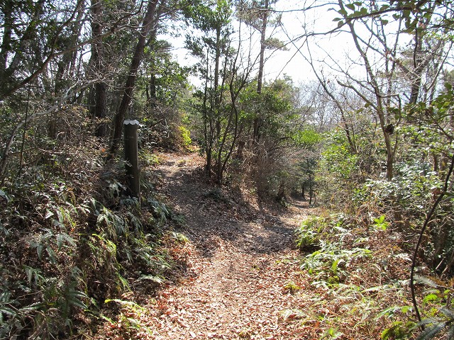 t05_115.jpg
