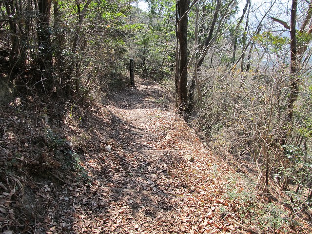 t05_118.jpg