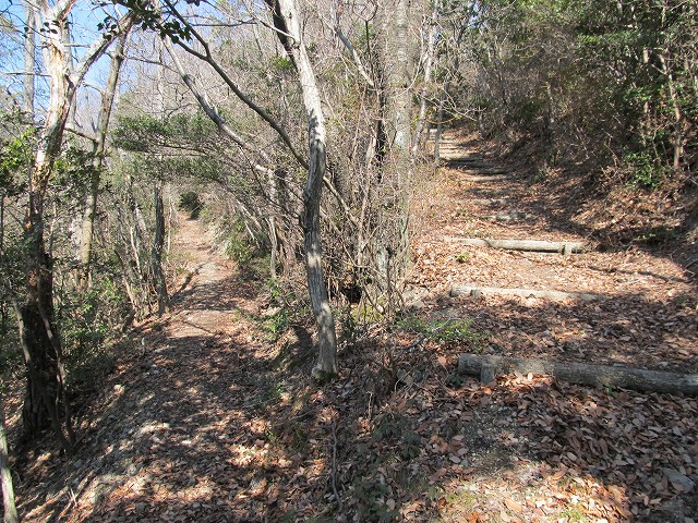 t05_119.jpg