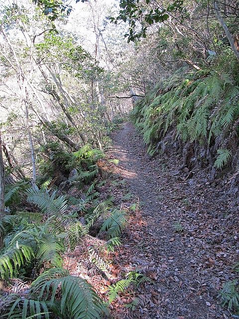 t05_122.jpg
