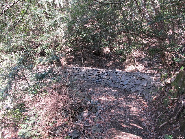 t05_123.jpg