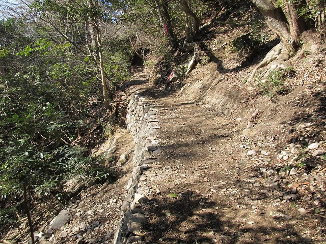 t05_124.jpg