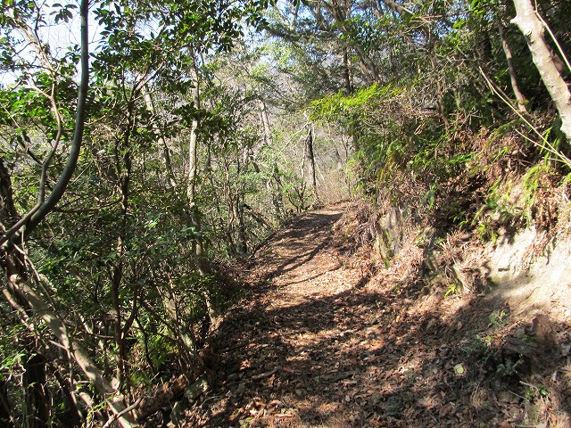 t05_125.jpg
