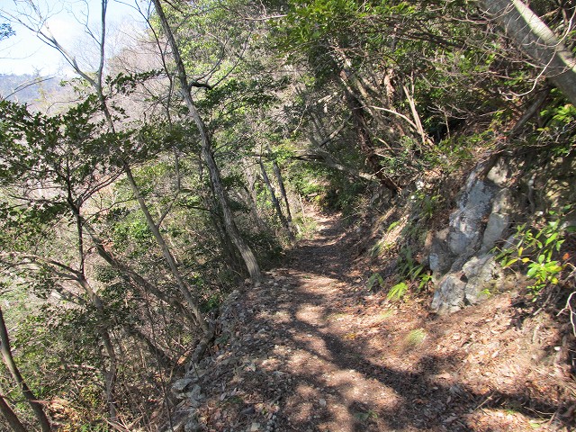 t05_126.jpg