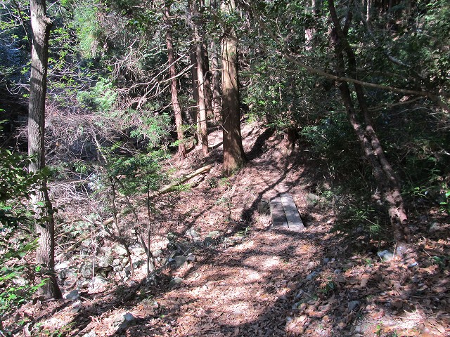 t05_129.jpg