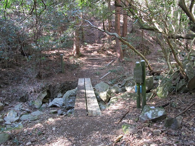 t05_130.jpg