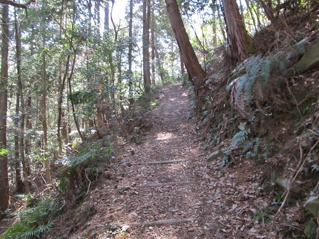 t05_131.jpg