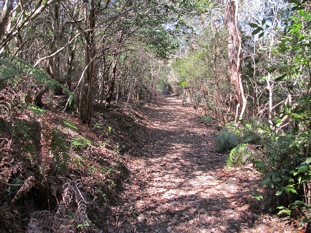 t05_132.jpg