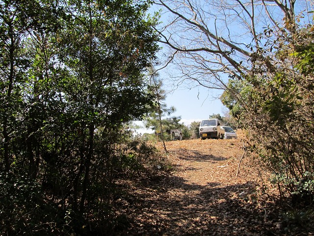 t05_133.jpg
