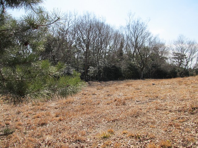 t05_134.jpg