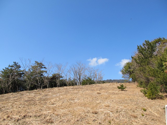 t05_135.jpg