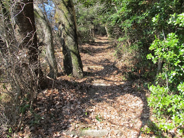 t05_136.jpg