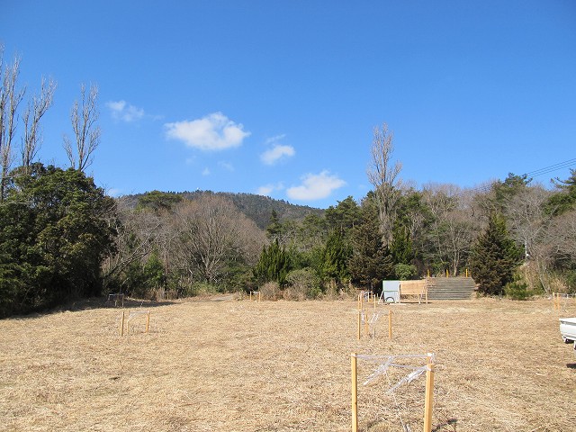 t05_137.jpg