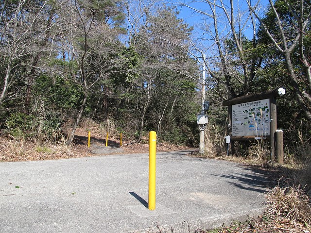 t05_138.jpg