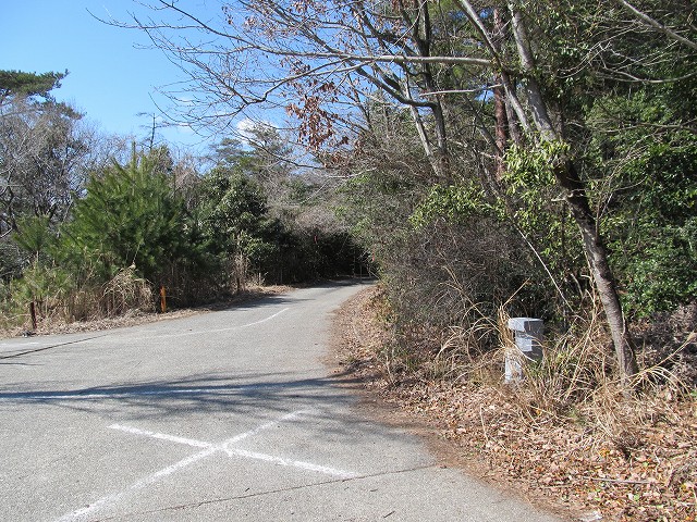 t05_140.jpg