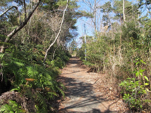 t05_141.jpg