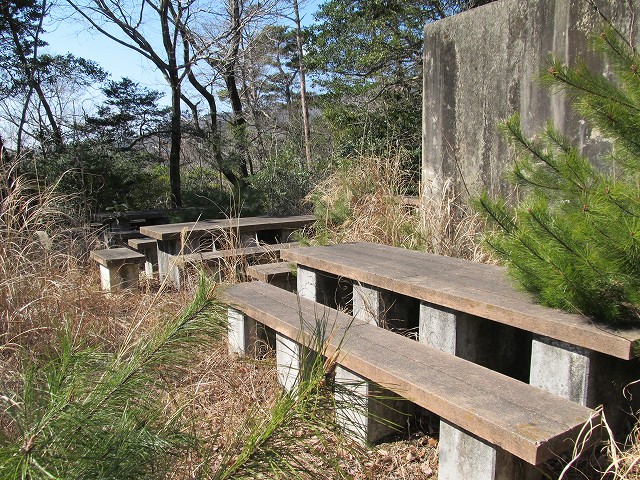 t05_142.jpg