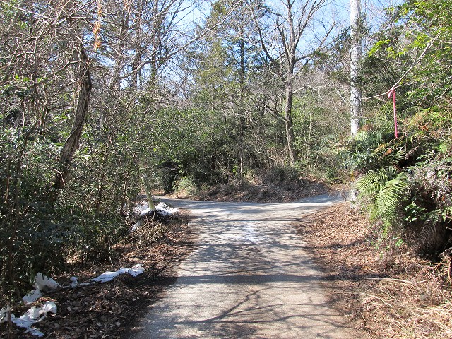 t05_143.jpg