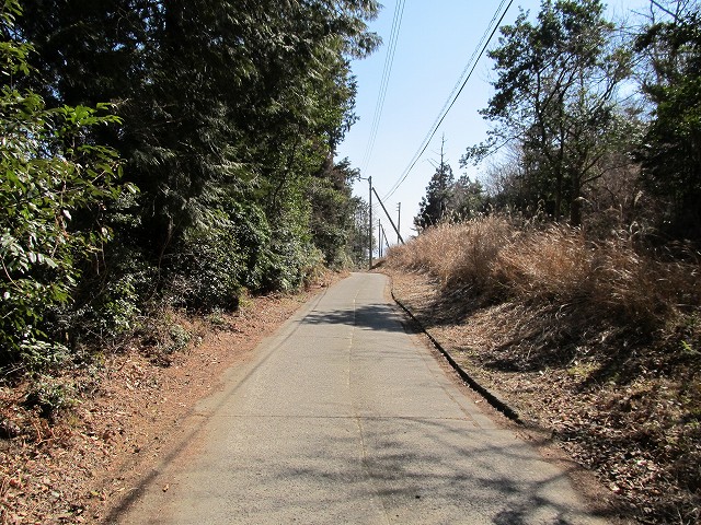 t05_148.jpg