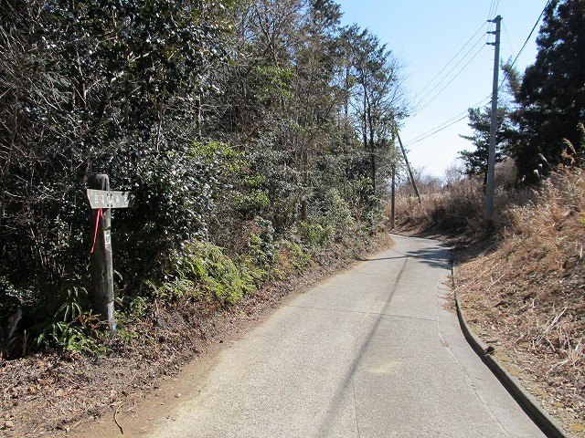 t05_149.jpg