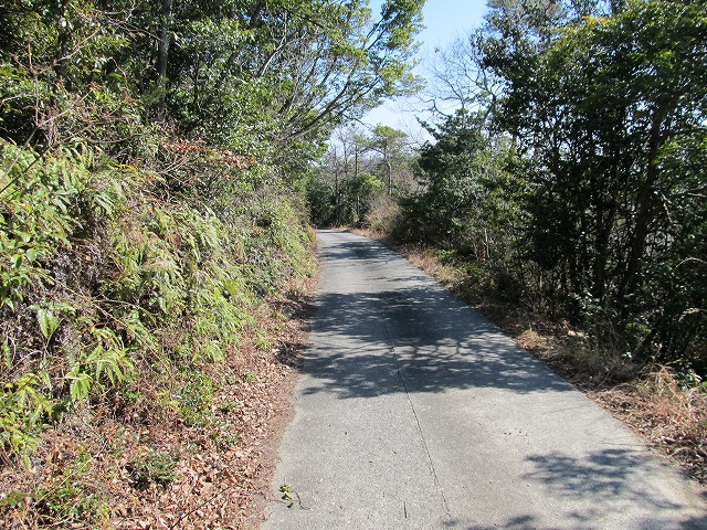 t05_152.jpg