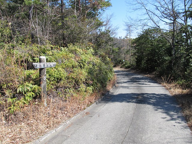 t05_153.jpg