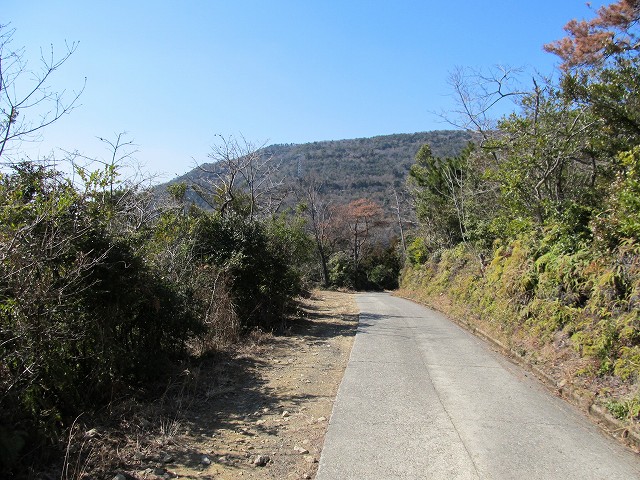 t05_154.jpg