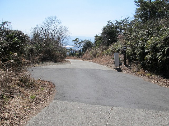 t05_155.jpg