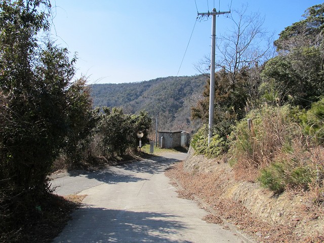 t05_159.jpg