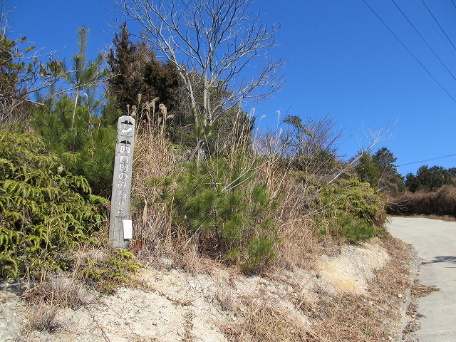 t05_160.jpg