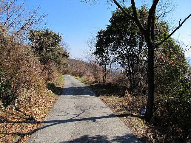 t05_161.jpg