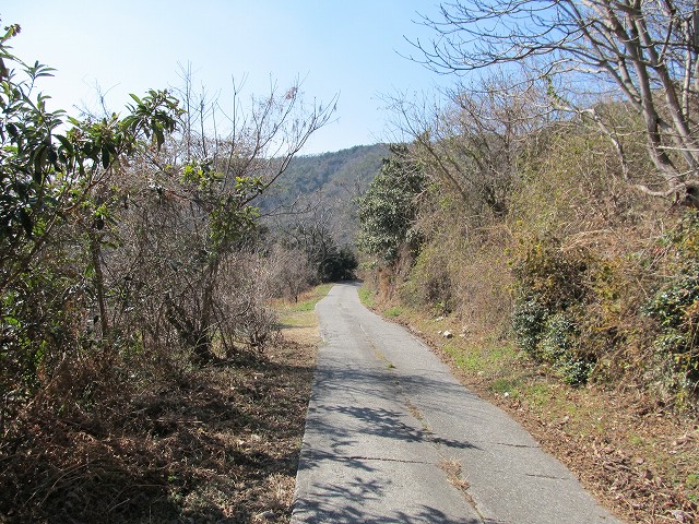 t05_163.jpg