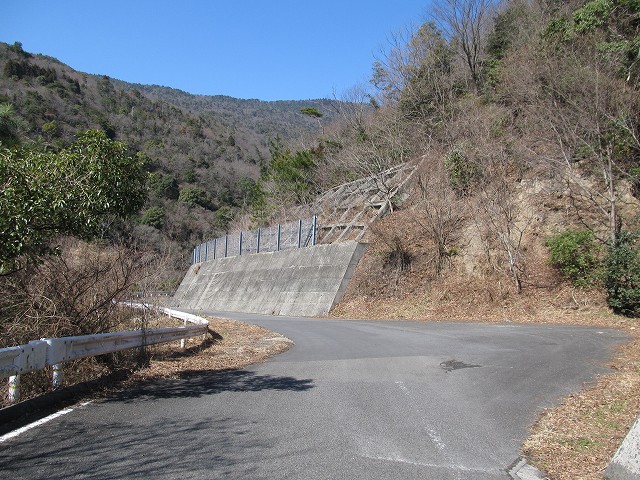 t05_165.jpg