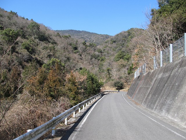 t05_166.jpg