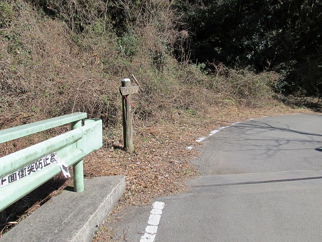 t05_171.jpg