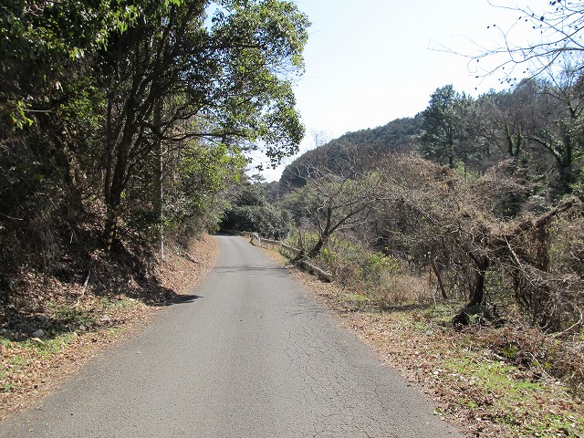 t05_172.jpg
