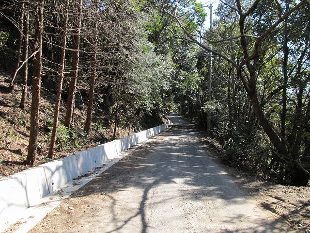 t05_173.jpg