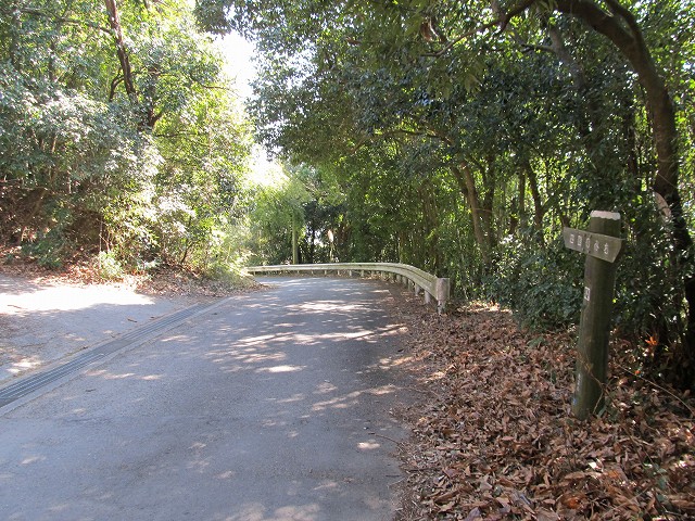 t05_174.jpg