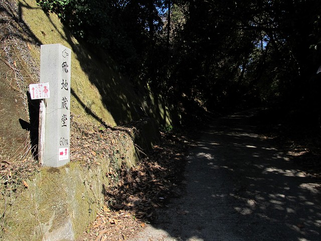 t05_175.jpg