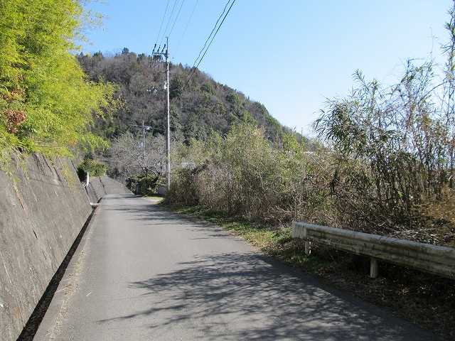t05_177.jpg